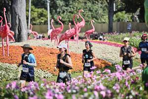 BIB: 
                            <button type="button" onclick="openModal(27793727)" class="btn btn-primary btn-sm float-right btn-popup" data-toggle="modal" data-target=".modal-high-quality">
                        <i class="fas fa-shopping-cart"></i> Add to Cart
                    </button>
                                            <button type="button" onclick="isThisMe(27793727, true)" class="btn btn-success btn-sm float-right btn-popup btn-isme hidden" data-toggle="tooltip" data-placement="bottom" title="นี่คือรูปของคุณใช่ไหม คลิกที่นี่เพื่อเอาเข้าอัลบั้ม">
                        <i class="fas fa-plus"></i> Add to album
                    </button>
                    <button type="button" onclick="isThisMe(27793727, false)" class="btn btn-warning btn-sm float-right btn-popup btn-isnotme hidden">
                        <i class="fas fa-ban"></i> Remove from album
                    </button>